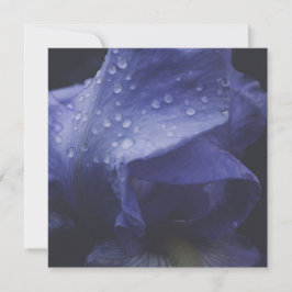 Paars Roos ventilator Kaart