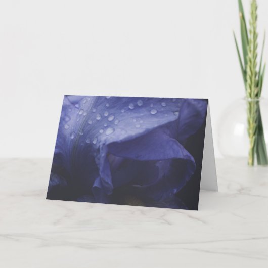 Paars Roos ventilator Kaart (Voorkant)