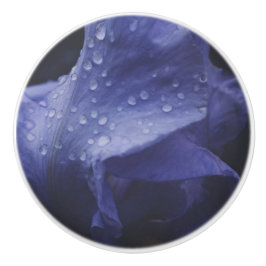 Paars Roos ventilator Keramische Knop