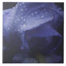 Paars Roos ventilator Tegeltje