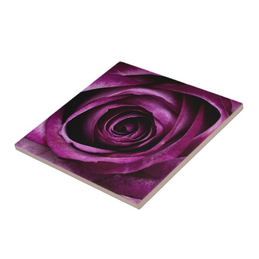 Paars Roos ventilator Tegeltje (Zijkant)