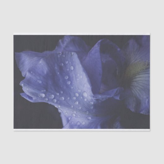 Paars Roos ventilator Tissuepapier (Voorkant)