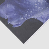 Paars Roos ventilator Tissuepapier (Detail)