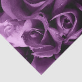 Paars Roos voor smog - Aangepast, 10 lbs papier vo (Detail)