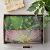 Paars, Roze en Groen Succulent Plant Foto Tissuepapier (Geschenk)