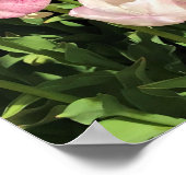 Paars & Roze Tulip Garden Bed, Oregon Poster (Hoek)