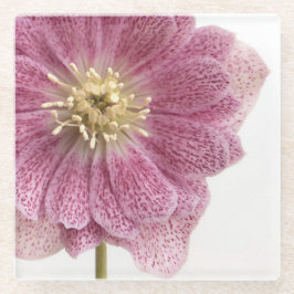 Paars roze ventilator Onderzetter van glas