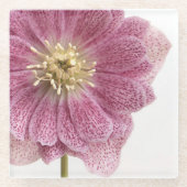 Paars roze ventilator Onderzetter van glas Glazen Onderzetter (Voorkant)