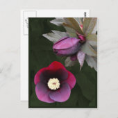 Paars Rozen Briefkaart (Voorkant / Achterkant)