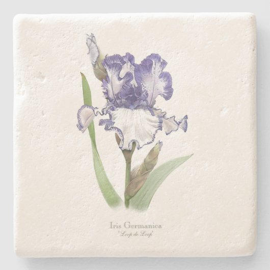 Paars Ruffled Iris Stenen Onderzetter (Voorkant)