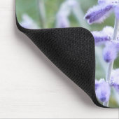 Paars Russisch Sage - Pervoskia Muismat (Hoek)