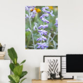 Paars Russisch Sage - Poster Perovskia (Thuiskantoor)