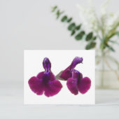 Paars Salvia Flowers Briefkaart (Staand voorkant)