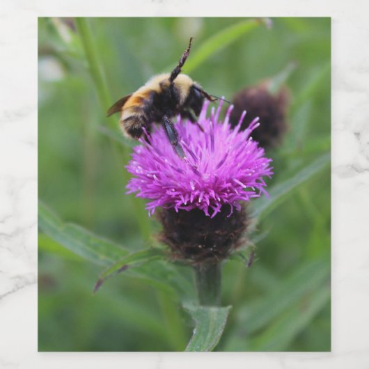 Paars Stuifmeel Wijn Etiket (Enkel label)