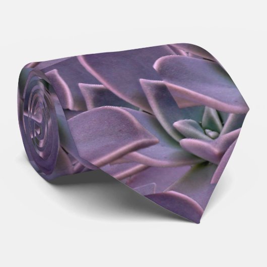 Paars Succulent Stropdas (Opgerold)