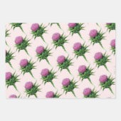 Paars Thistle Floral Pattern Inpakpapier Vel (Voorkant 3)