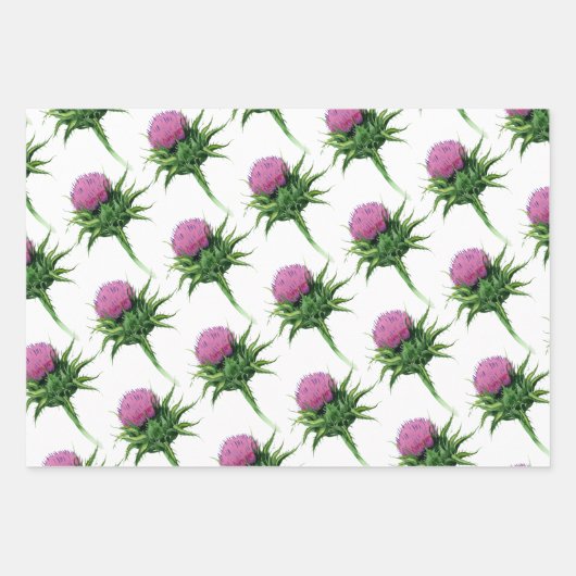 Paars Thistle Floral Pattern Inpakpapier Vel (Voorkant 2)