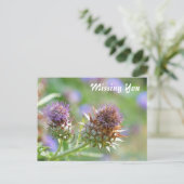  Paars Thistle Garden Flower Foto Briefkaart (Staand voorkant)