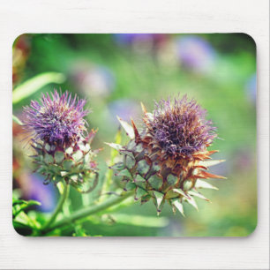 Paars Thistle Garden Flower Foto Muismat