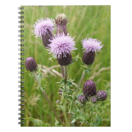 Paars Thistle Notitieboek (Voorkant)