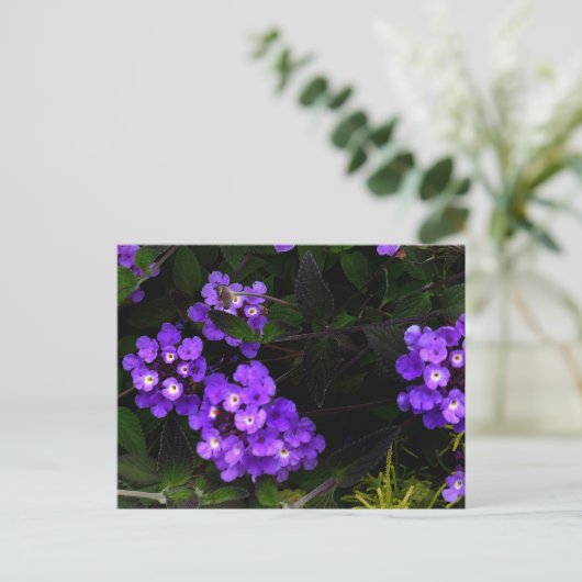 Paars Trailing Lantana #1 Briefkaart (Staand voorkant)