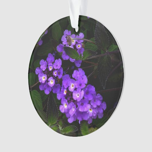 Paars Trailing Lantana #1 Ornament (voorkant)