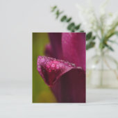 Paars Tulip Briefkaart (Staand voorkant)