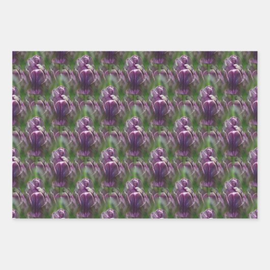 Paars Tulip Flower Natuur Patroon Inpakpapier Vel (Voorkant 3)