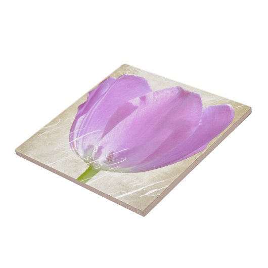 Paars Tulp Paper-patroon Tegeltje (Zijkant)