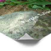 Paars Tulpen (3033) Poster (Hoek)