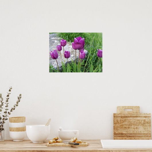 Paars TulpenPoster Poster (Keuken)