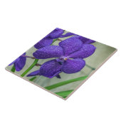 Paars vanda orchideeën keramische tegel tegeltje (Zijkant)