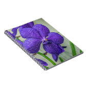 Paars vanda orchideeën notitieboek (Rechterzijde)