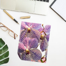 Paars Vanda Orchids Floral