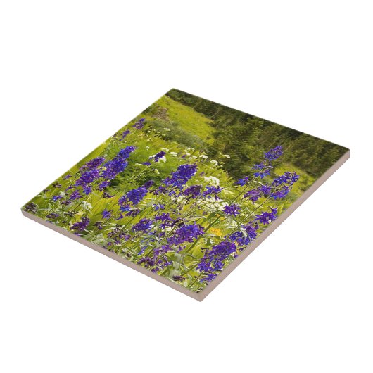 Paars veld tegeltje (Zijkant)