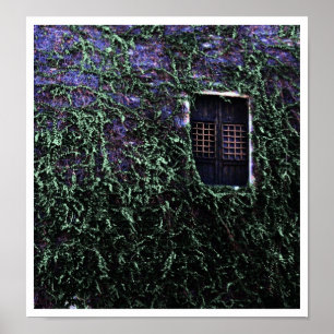 Paars venster ~ Poster / afdrukken