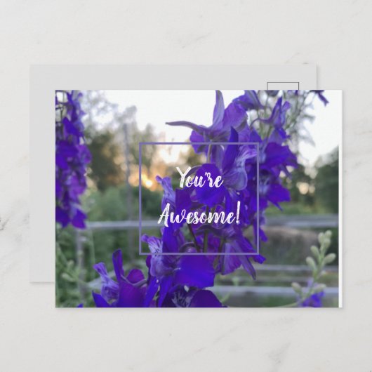 Paars ventilator Briefkaart (Voorkant / Achterkant)