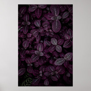 PAARS VERLAAGD PLANT VELD POSTER
