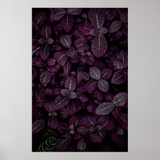 PAARS VERLAAGD PLANT VELD POSTER