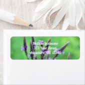 Paars Vervain Wilde Bloemschilderadres Etiket (Insitu)