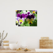 Paars Viola Pansy Spring Garden Flowers Poster (Keuken)