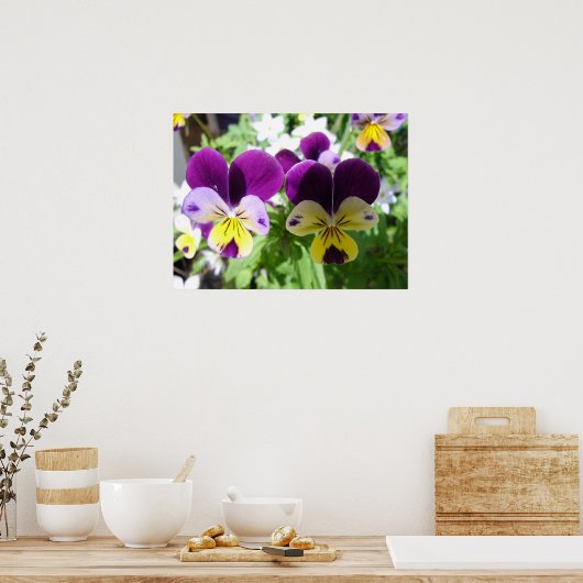 Paars Viola Pansy Spring Garden Flowers Poster (Keuken)