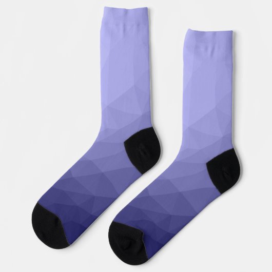 Paars violet blauwe mesh ombre-patroon sokken (Links)