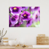 Paars Violet Wall Poster (Keuken)