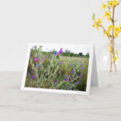 Paars Viper's buggloss, Echium Plant Kaart (Gele Bloem)