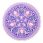 Paars W1 Keramische Knop (Voorkant)