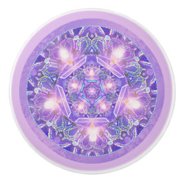 Paars W1 Keramische Knop