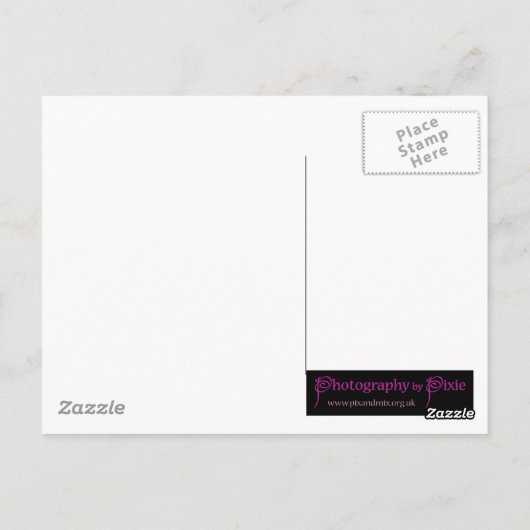 Paars water briefkaart (Achterkant)