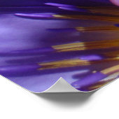 Paars Water Lily Poster (Hoek)