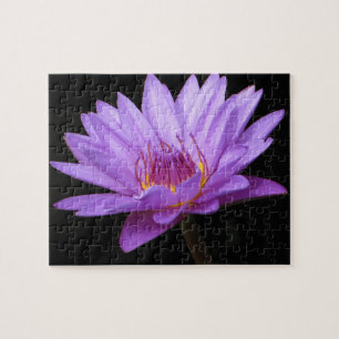 Paars Water Lily Puzzle Legpuzzel
